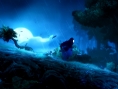 Screens Ori and the Blind Forest