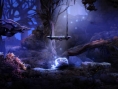 Screens Ori and the Blind Forest