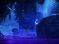 Video Ori and the Blind Forest
