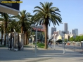 E3 2005 : premières photos