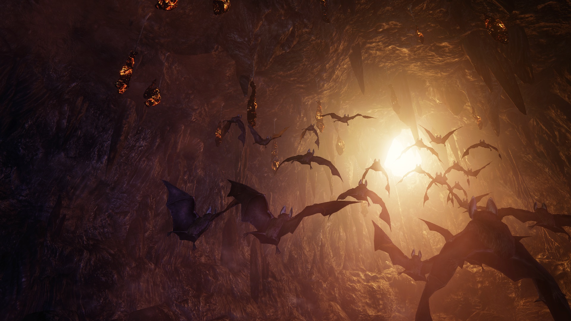 NiOh : nouvelles images
