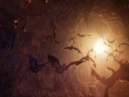 NiOh : nouvelles images