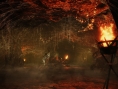NiOh : nouvelles images