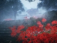 NiOh : nouvelle fournée d'images