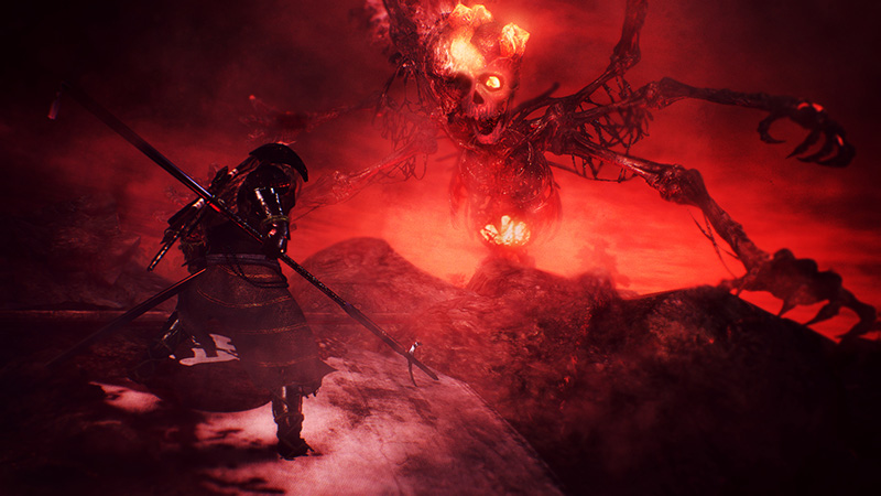 NiOh : quelques images de plus