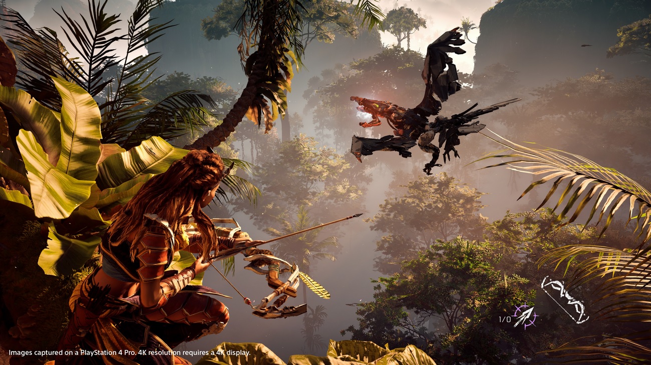 Horizon Zero Dawn : détails sur l'option PS4Pro