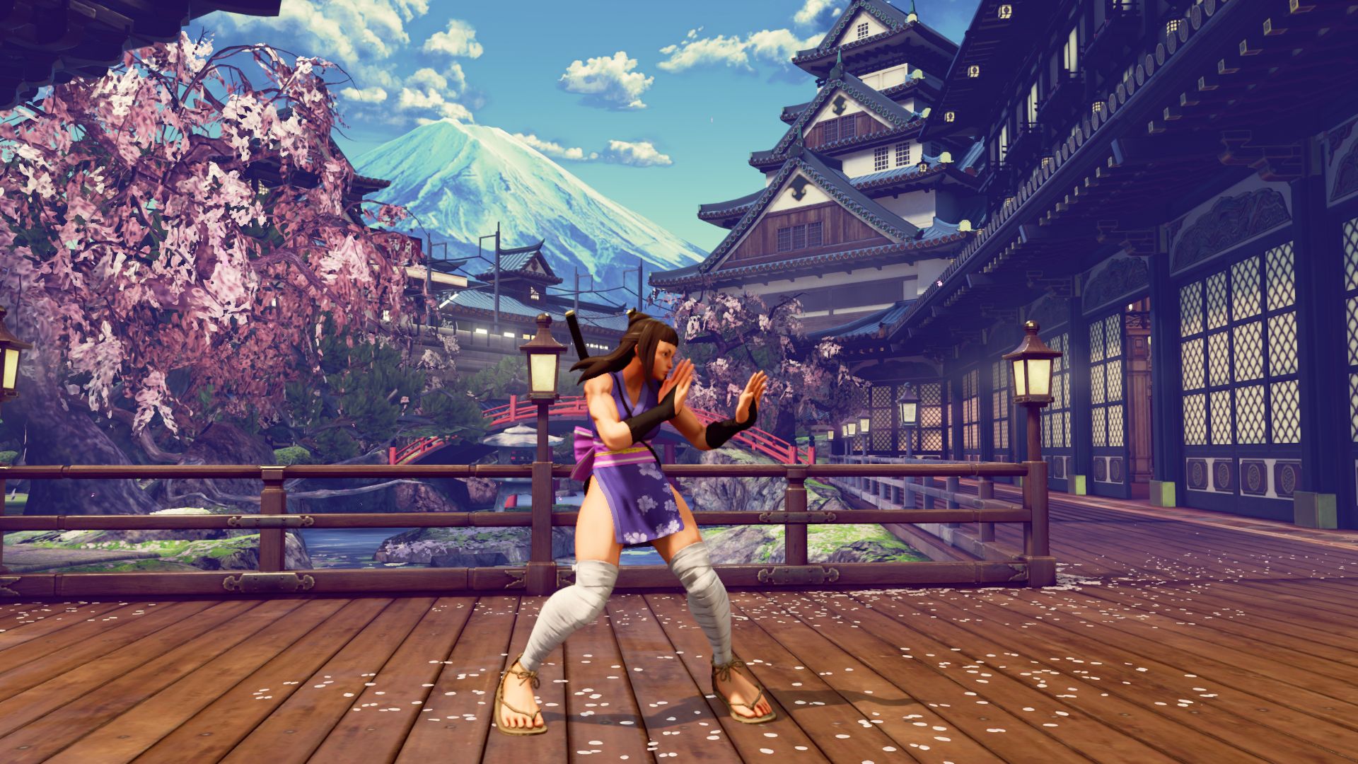 Street Fighter V : costumes & optimisation online