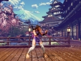 Street Fighter V : costumes & optimisation online
