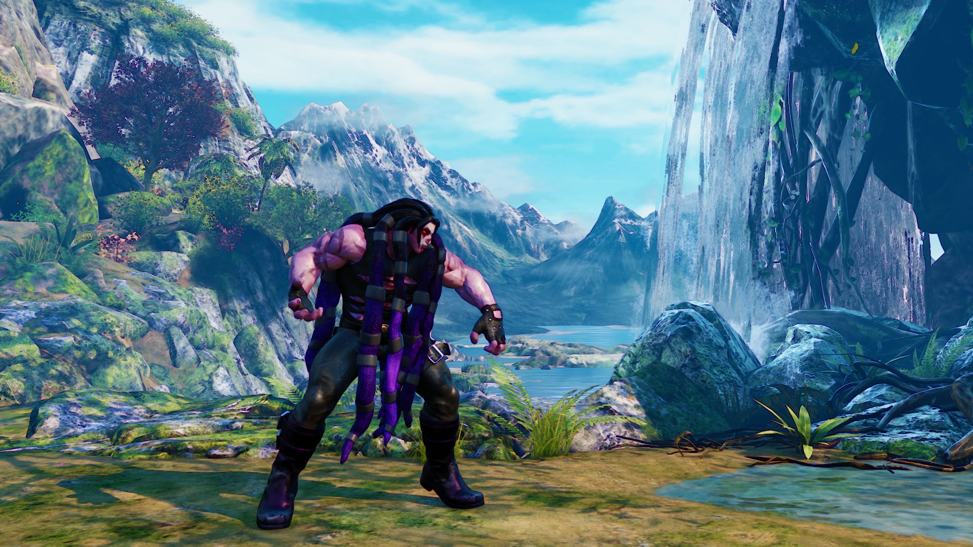 Street Fighter V : costumes & optimisation online