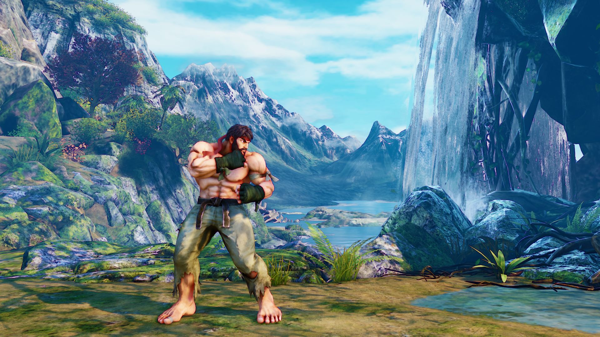 Street Fighter V : costumes & optimisation online
