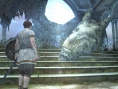 Screens Dragon's Dogma Online