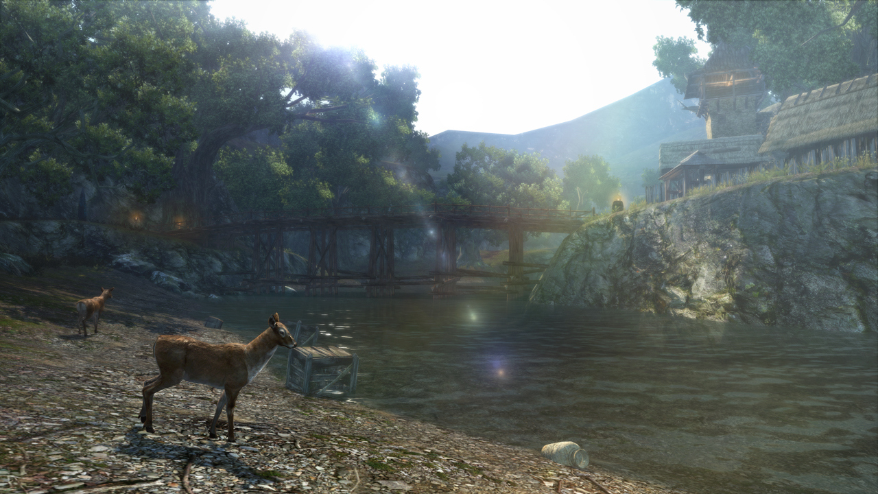 Screens Dragon's Dogma Online