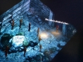 Un nouveau Baldur's Gate en chantier