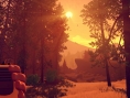 Screens Firewatch