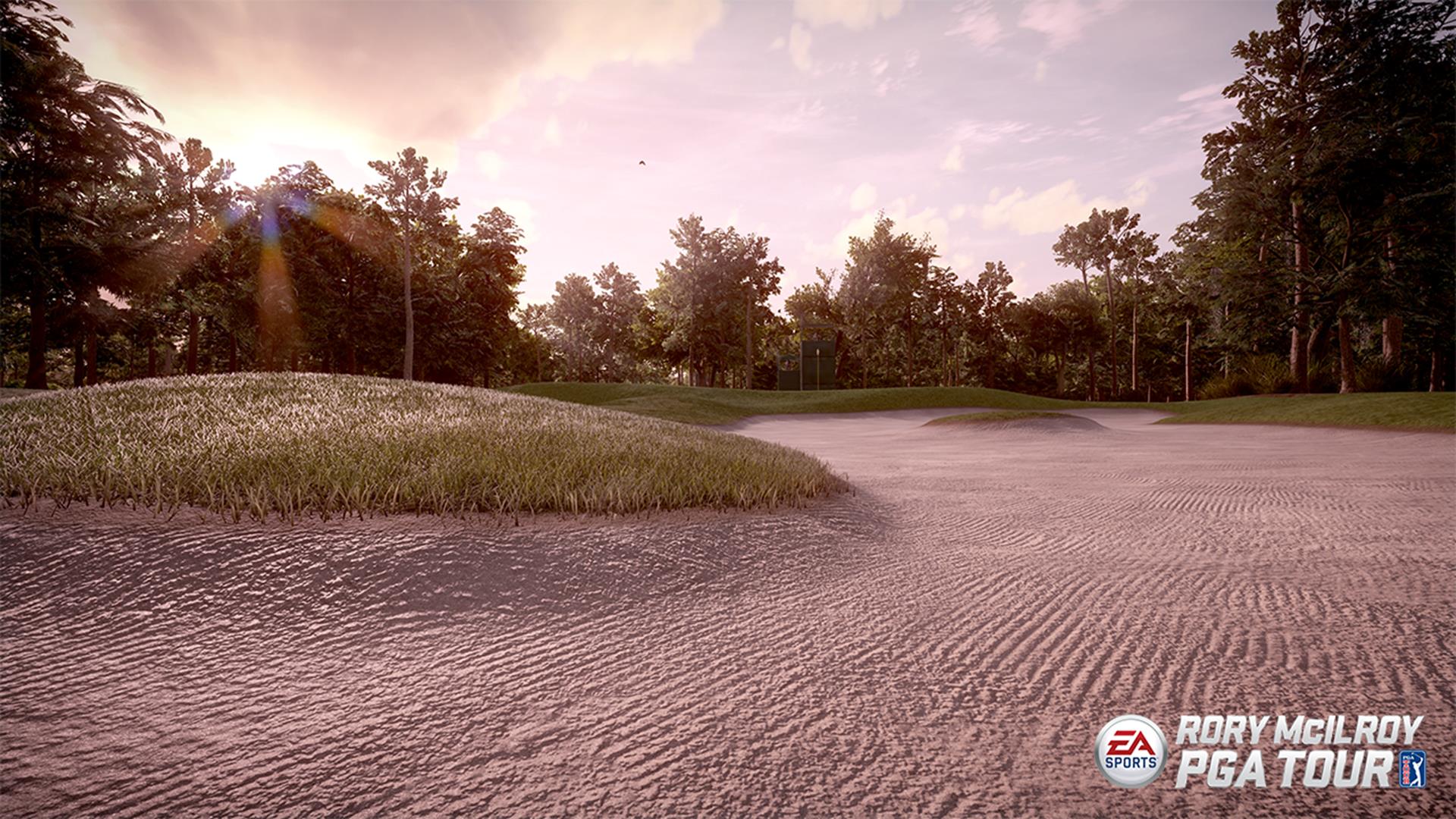 Screens Rory McIlroy PGA Tour