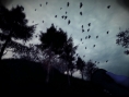 Slender The Arrival : trailer de lancement