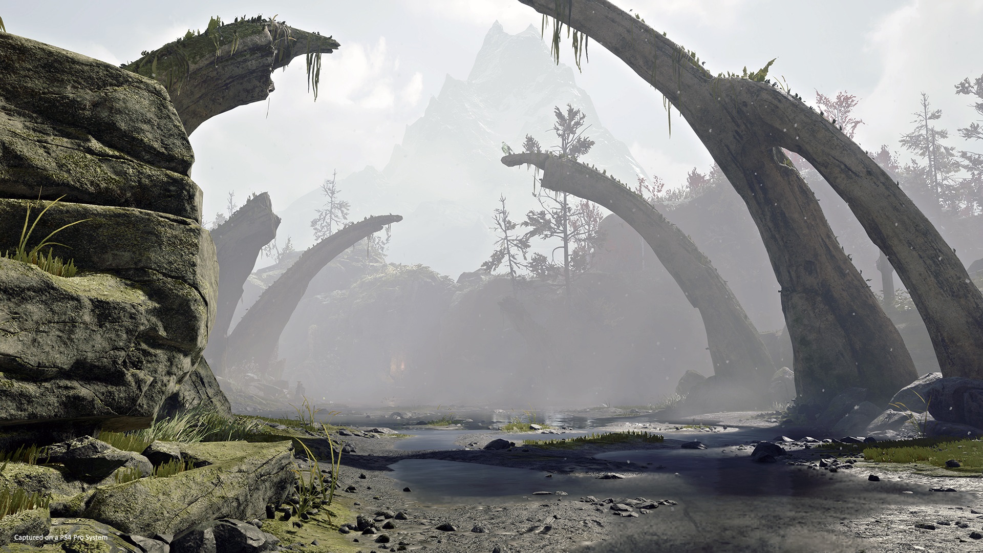 Quelques nouvelles images pour God of War