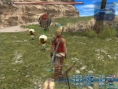 Final Fantasy XII : 15 images