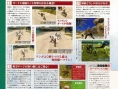 Final Fantasy XII scanné