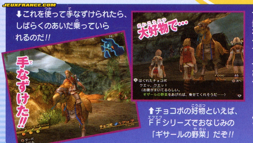Final Fantasy XII en images