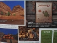 Final Fantasy XII : License Board