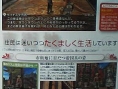 Final Fantasy XII : License Board