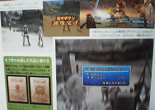 Final Fantasy XII : License Board