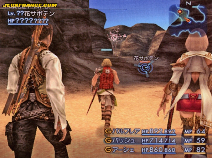 Final Fantasy XII : plus d'images