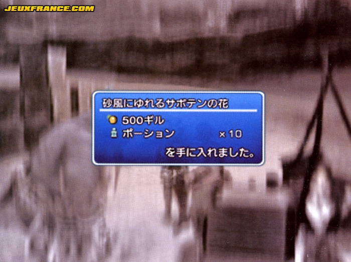 Final Fantasy XII : plus d'images