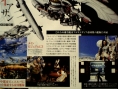 Final Fantasy XII : plus d'images