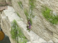 Dragon Quest XI : nouvelles images PS4 & 3DS