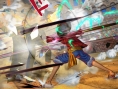 Nouvelles images pour One Piece : Burning Blood