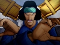 One Piece Burning Blood : avalanche d'images