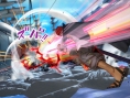 One Piece BB : contenu & système de combat
