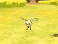 Pokémon S&L : nouveaux Pokémons leakés