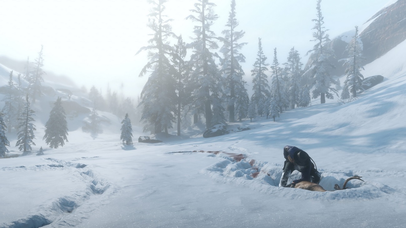 Red Dead Redemption 2 : encore des images