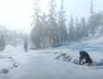 Red Dead Redemption 2 : encore des images