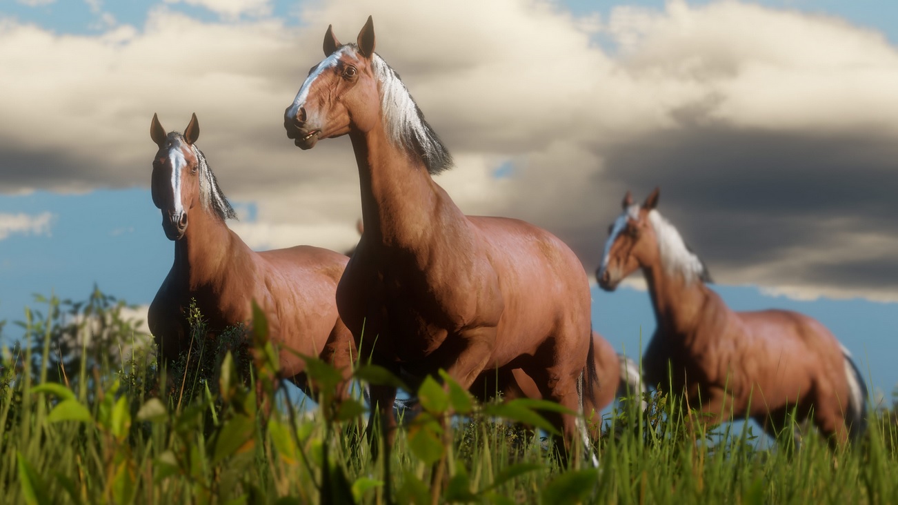 Red Dead Redemption 2 : encore des images