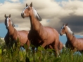 Red Dead Redemption 2 : encore des images