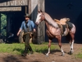 Red Dead Redemption 2 : encore des images