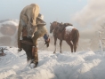 Red Dead Redemption 2 : encore des images