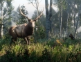 Red Dead Redemption 2 montre sa faune