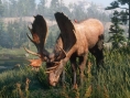 Red Dead Redemption 2 montre sa faune
