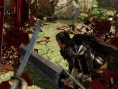 Berserk Muso : premières images