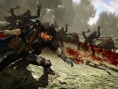 Berserk Muso : le premier trailer