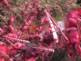 Earth Defense Force 5 : le plein d'images