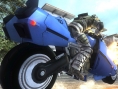 EDF 5 : deux nouvelles bestioles illustrées