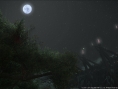 FFXIV : Stormblood se dévoile