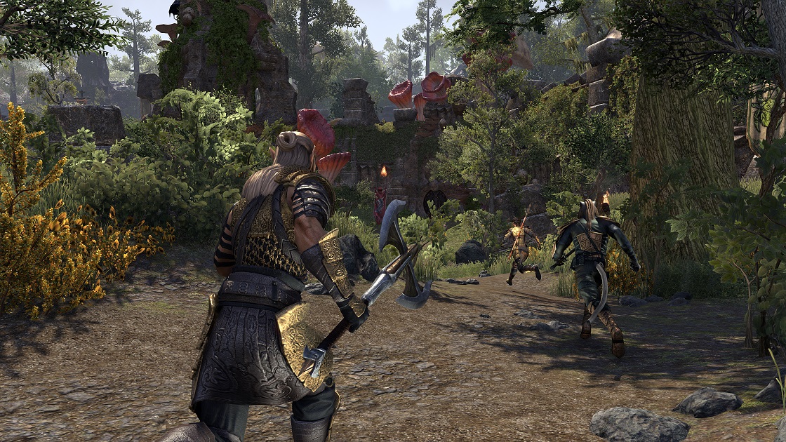 Quelques images pour TESO Morrowind