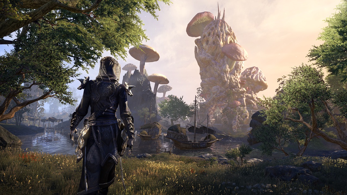 Quelques images pour TESO Morrowind